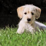 Here I am