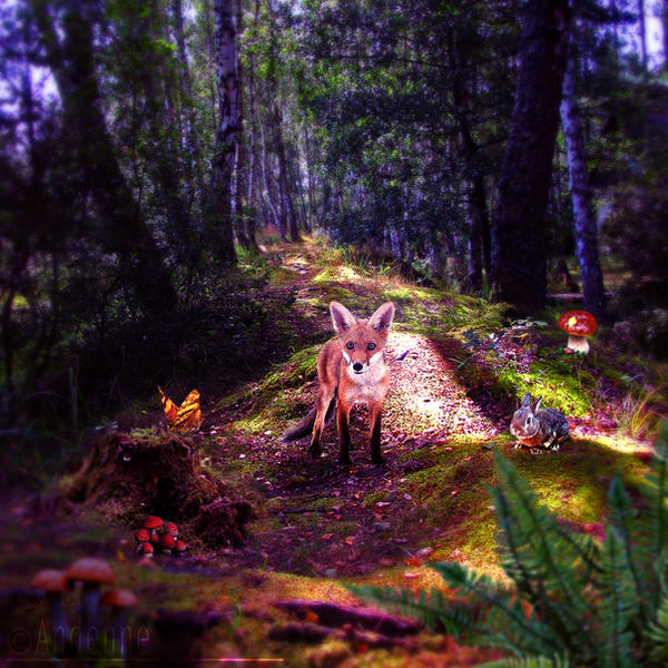 Fox, rabbit and butterfly