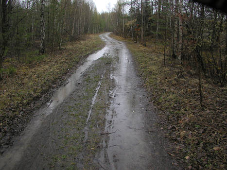 borderline stock 180 rain