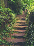 Stairway to heaven by Reni89