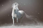 Winter mirage by Hagge