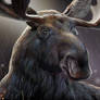 Autumn Moose