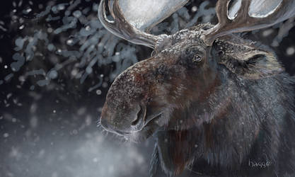He Of Many Winters by Hagge