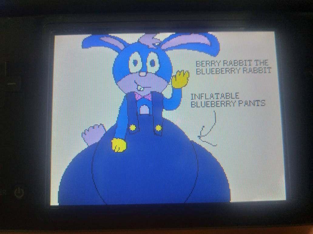 Berry Rabbit The Blueberry Rabbit by ZippyTheBlueberrycat on DeviantArt