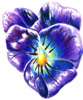 Abstract Pansy- Hi Resolution 1200 DPI Scan