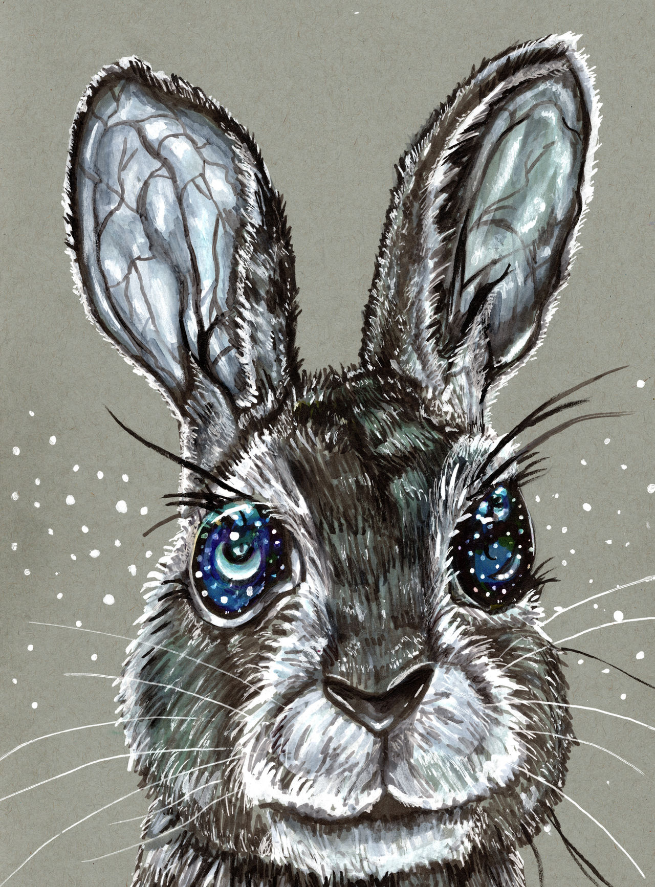 A Starry Rabbit Starry-Eyed Bunny by KLoganArt on DeviantArt