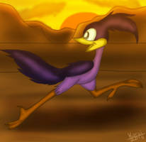 Road Runner