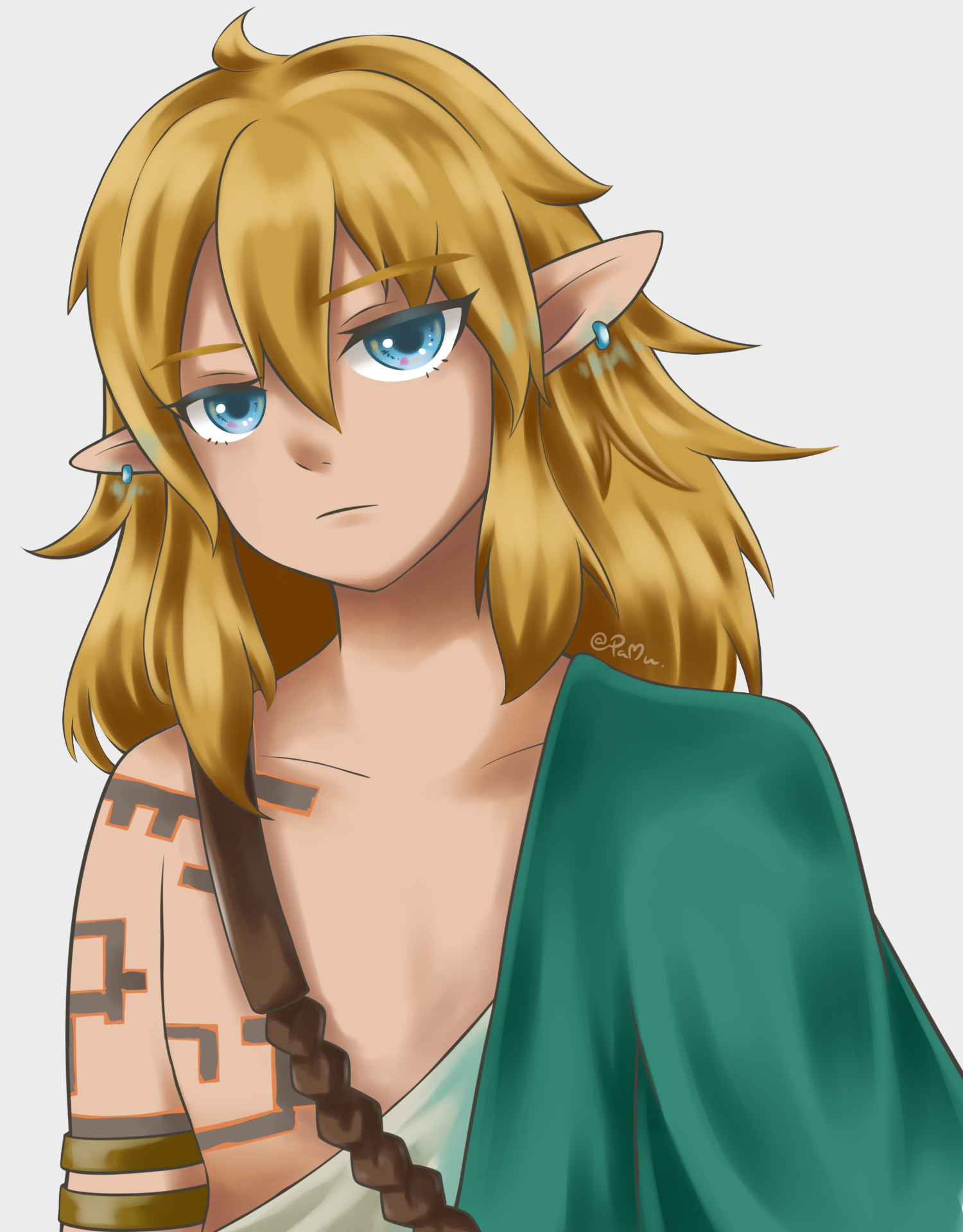 Link (Zelda TOTK) by Miojamie on DeviantArt