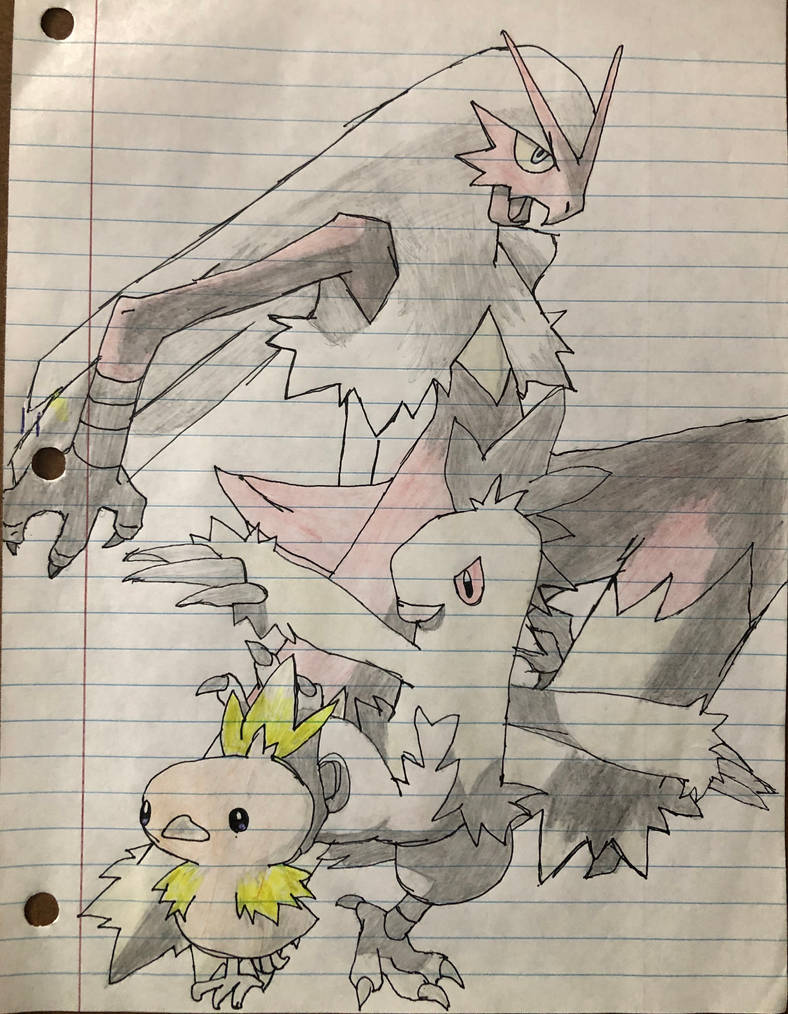 Torchic Evolution Drawing.pdf Torchic and evolution forms. by LukeDe1st on DeviantArt