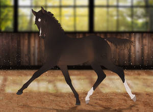 BLS Chaccmeltara | Foal Design