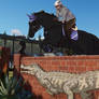 Black Jumping Wonder