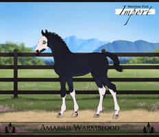 SHV Judas Maskerade | FOAL DESIGN