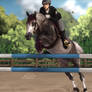 Jumping into the sunshine | Show Entry