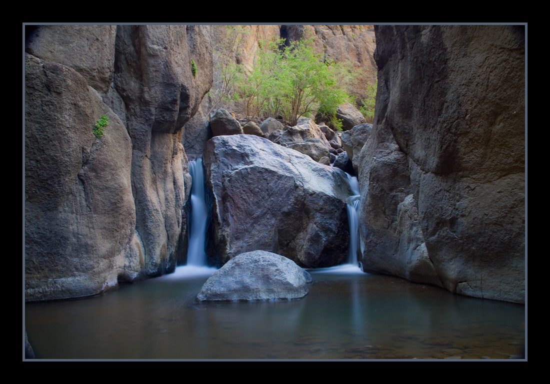 Spring in the Desert