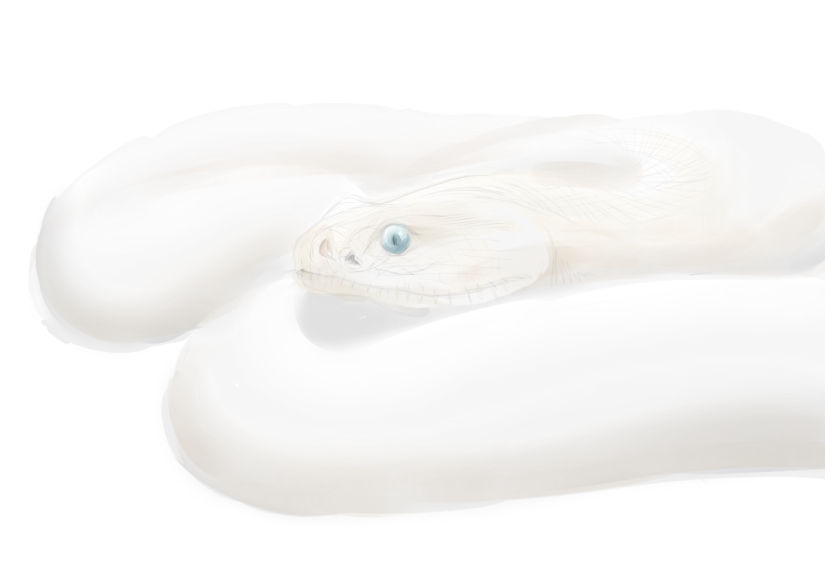 Snake that will never be finished... Dl by PandoraBox17 on DeviantArt Snake that will never be finished... Dl by PandoraBox17 on DeviantArt