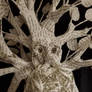 Treebeard Book Sculpture Close Up