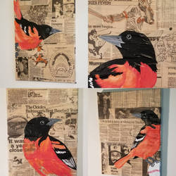 Oriole Acrylic Paintings on Collage 