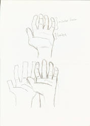 Sketch of a hand