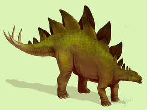 Stegosaurus