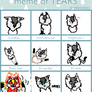 Meme of TEARS (Icefeather)