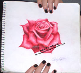 Simple Rose