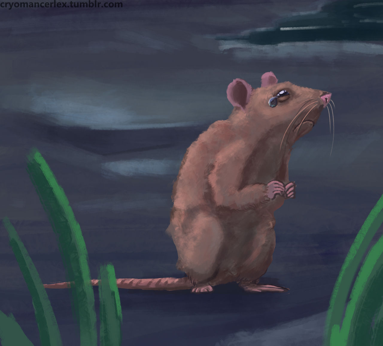 Can Rats Cry Teary Rat by cryomancerlex on DeviantArt