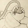 Fluothane Induction