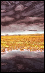 Finnmark Water Grass Sky 4