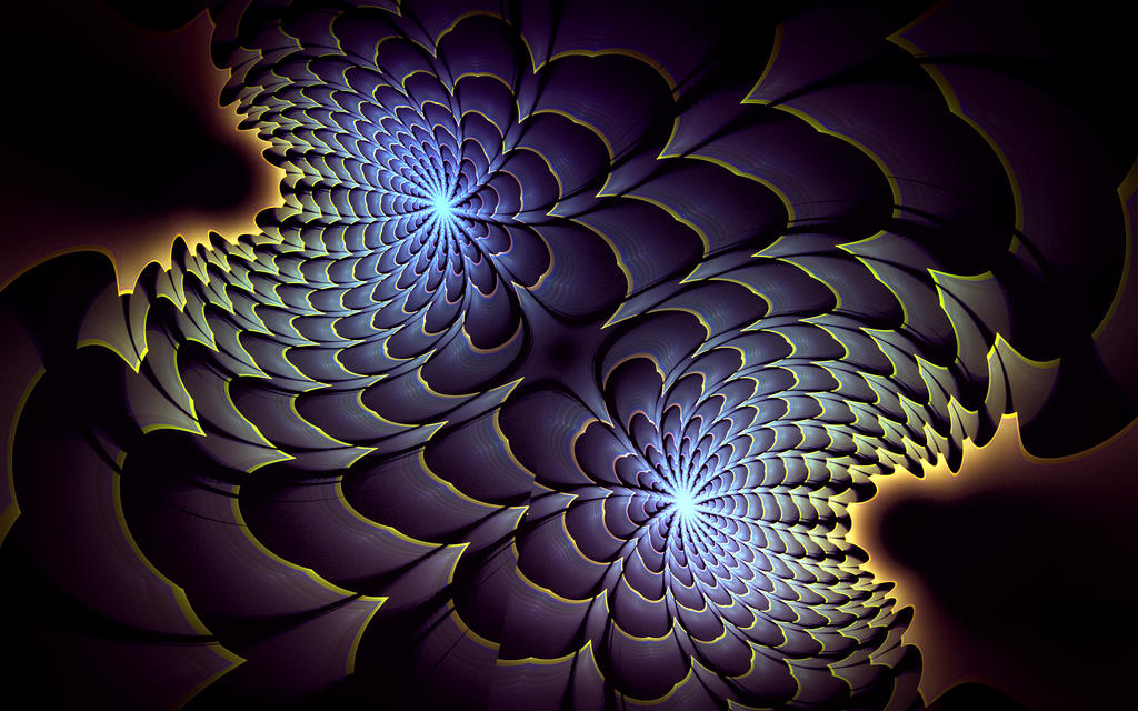 thistle bloom by xurg thistle bloom by xurg
