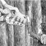 the Dragon and the Boy