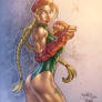 Cammy Study of color