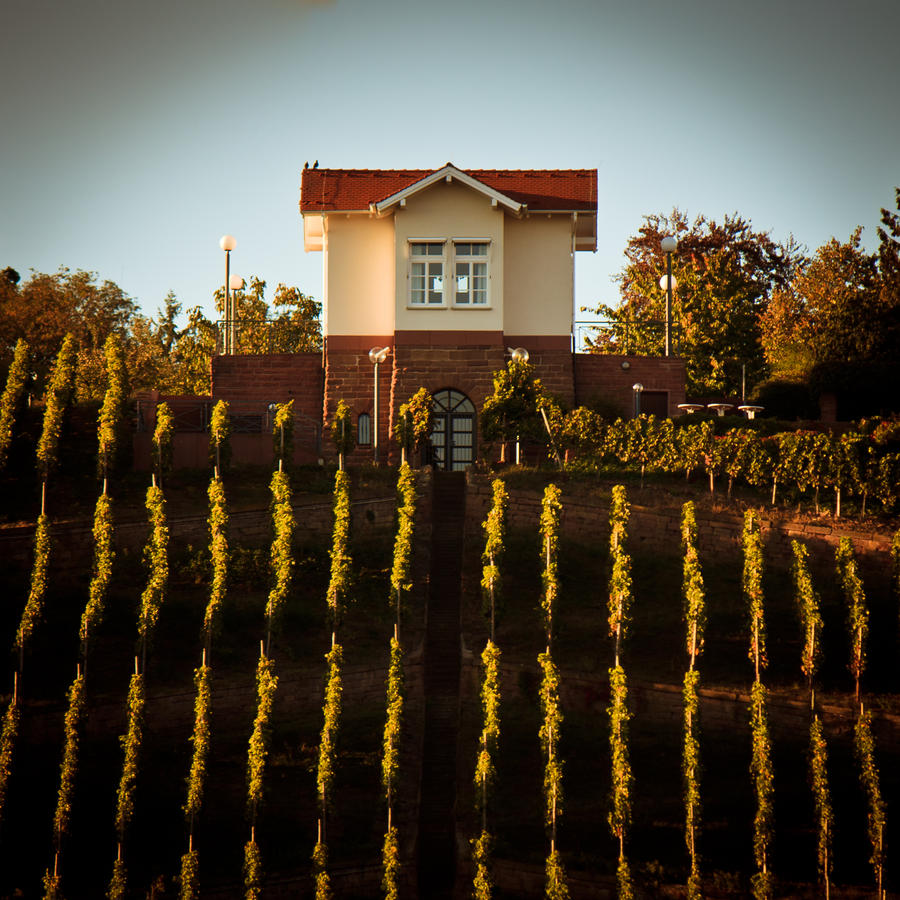 Mansion on the hill