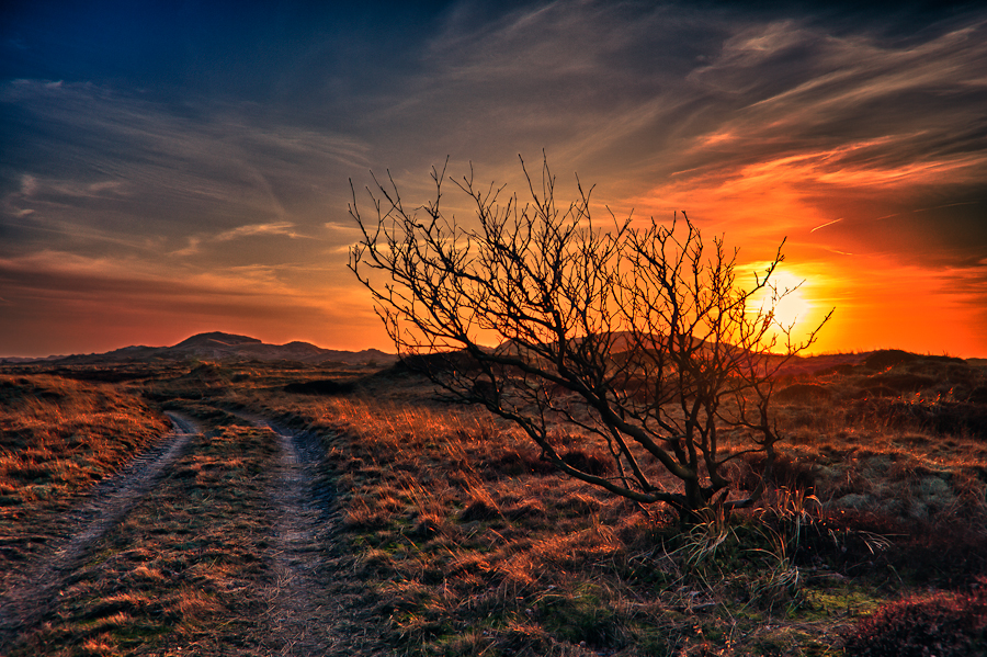 The way to the mountain