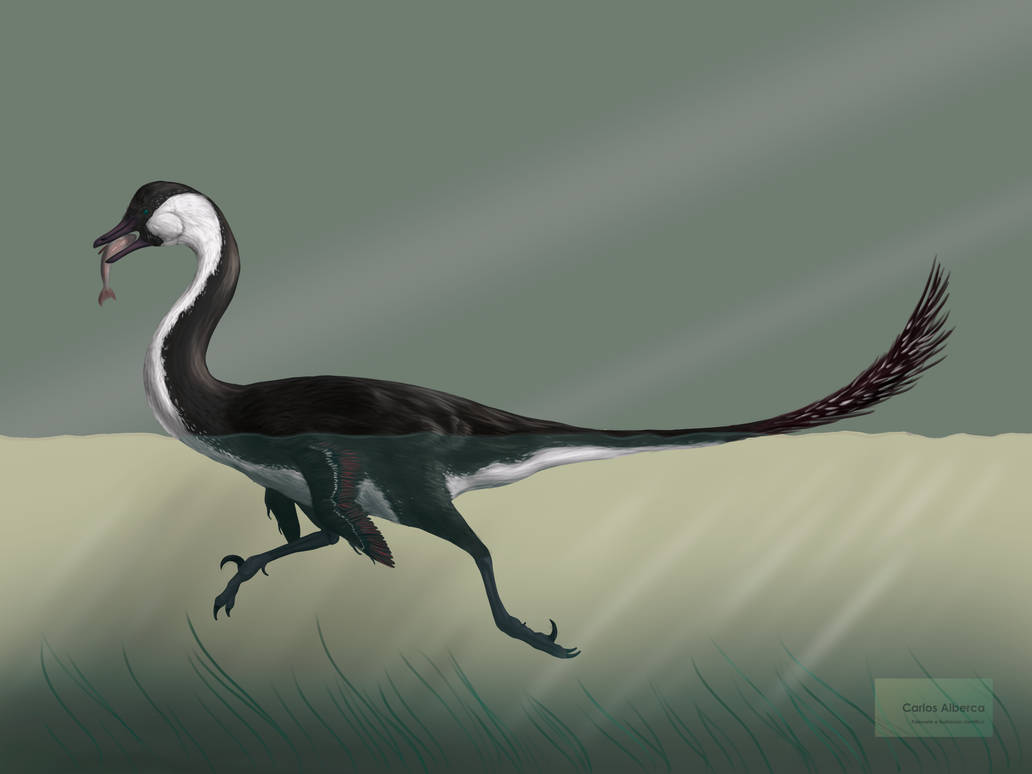 Halszkaraptor by paleoalberca on DeviantArt