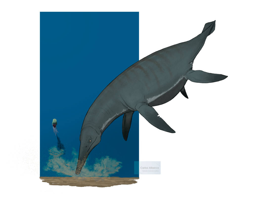 Polycotylus by paleoalberca on DeviantArt