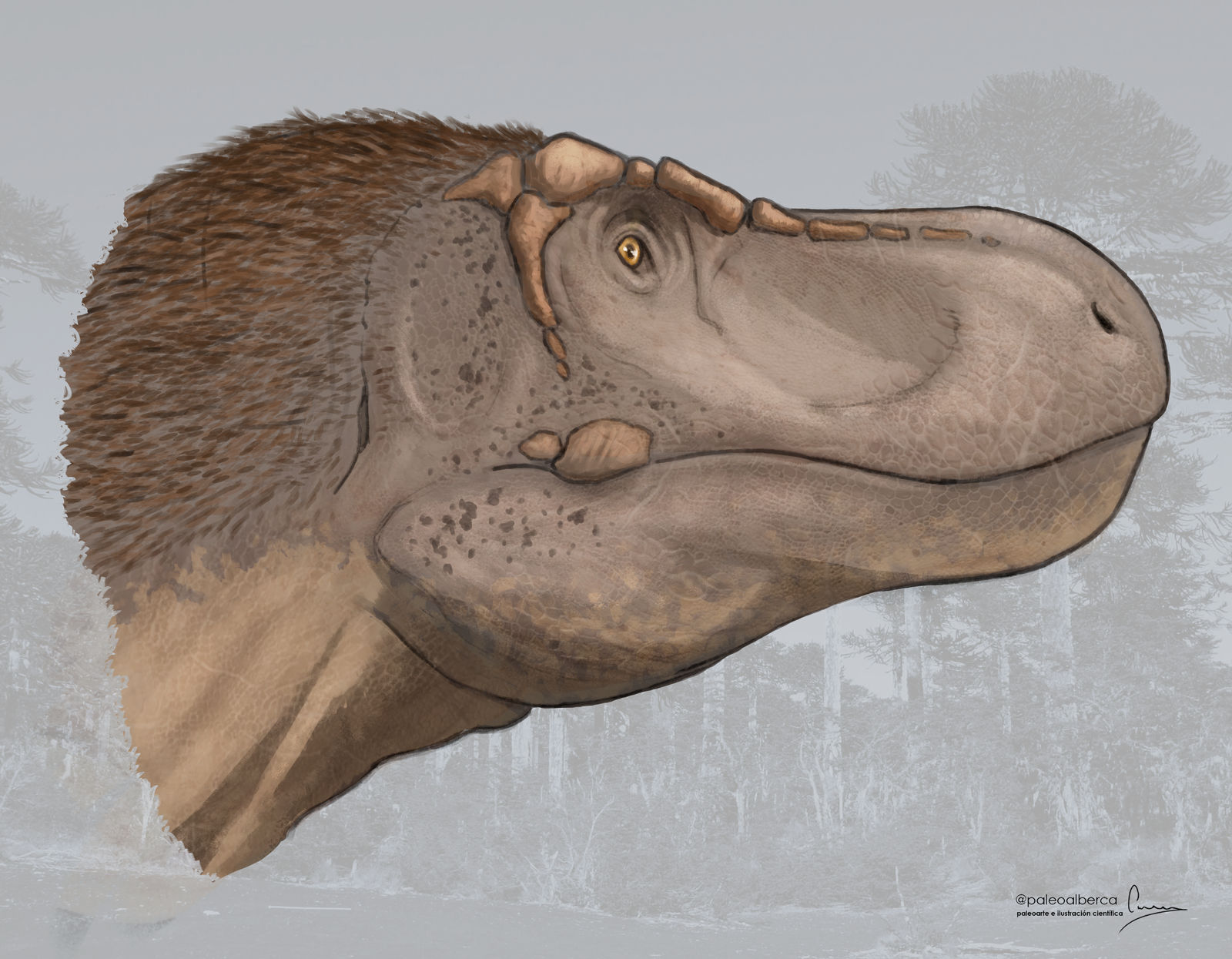 Tyrannosaurus rex by paleoalberca on DeviantArt