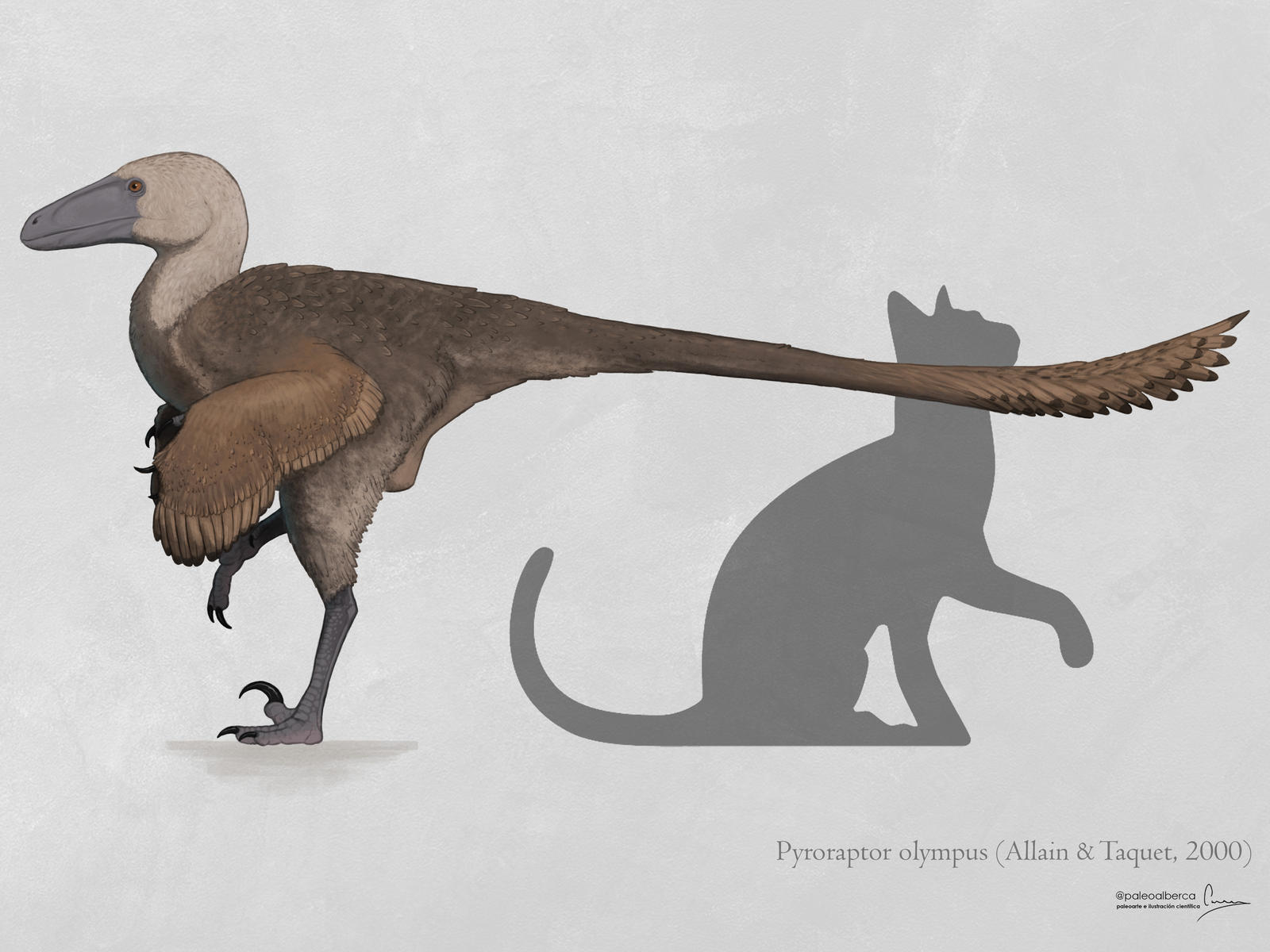 Pyroraptor olympius by paleoalberca on DeviantArt
