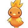 Torchic