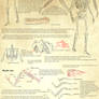 Winged People Anatomy: Bone Structure.