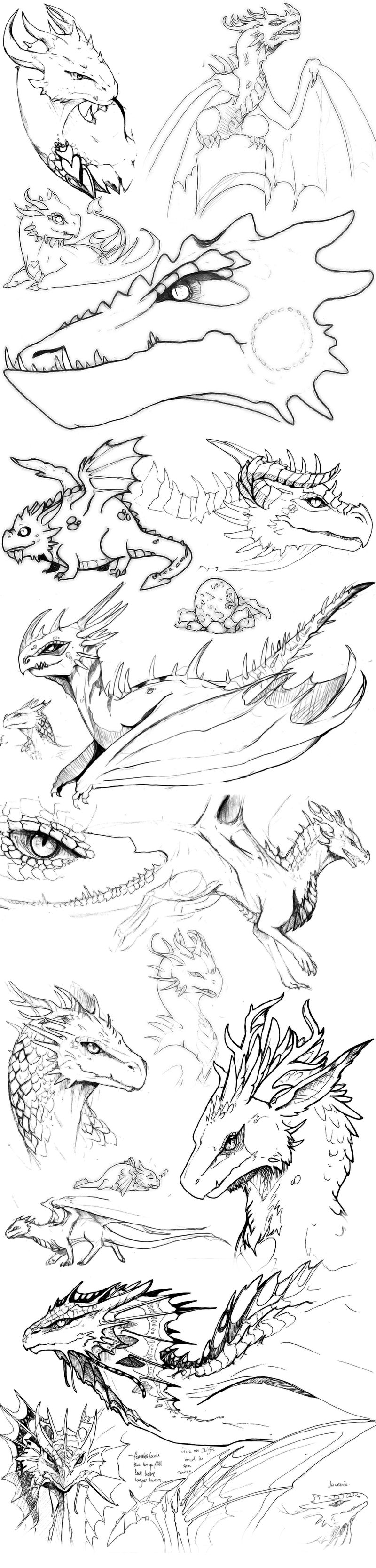 Scribbly Dragons