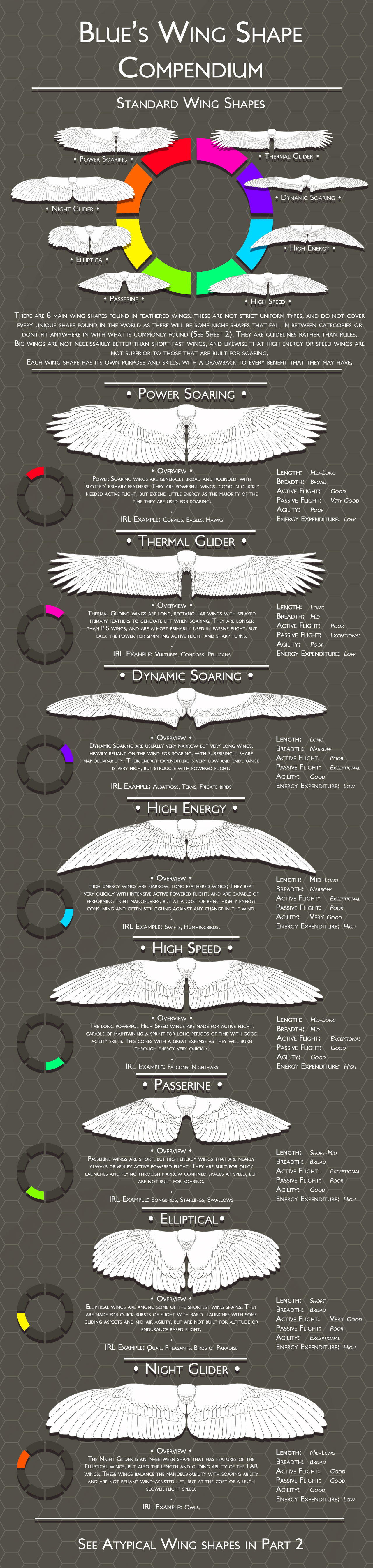 Wing Compendium Standard Wing Shapes By Blue Hearts On Deviantart