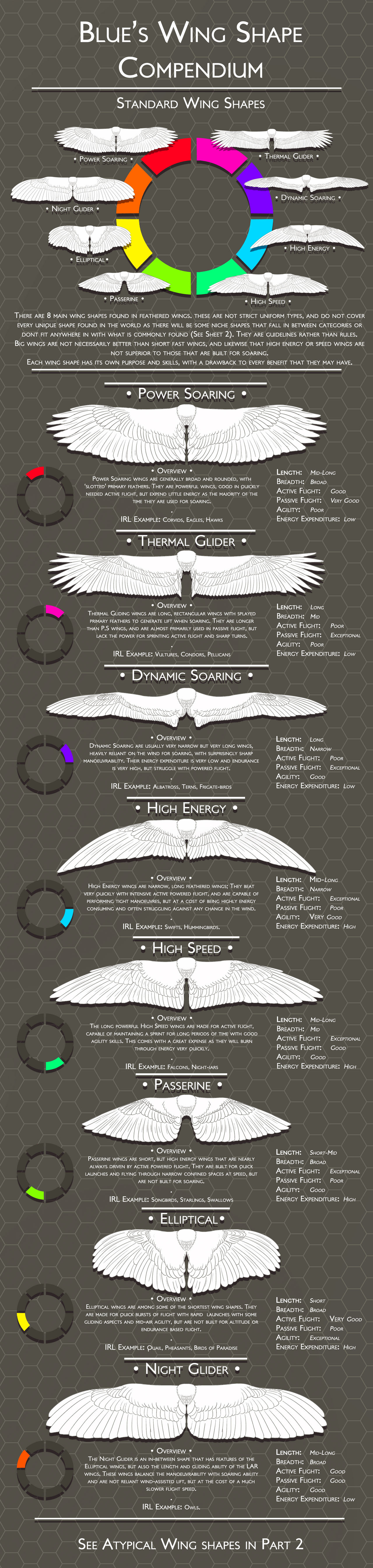 Wing Compendium Standard Wing Shapes By Blue Hearts On Deviantart Wing Compendium Standard Wing Shapes By Blue Hearts On Deviantart