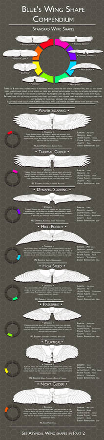Wing Compendium: Standard Wing Shapes