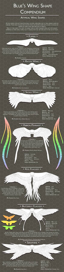 Wing Compendium 2: Atypical Wing Shapes