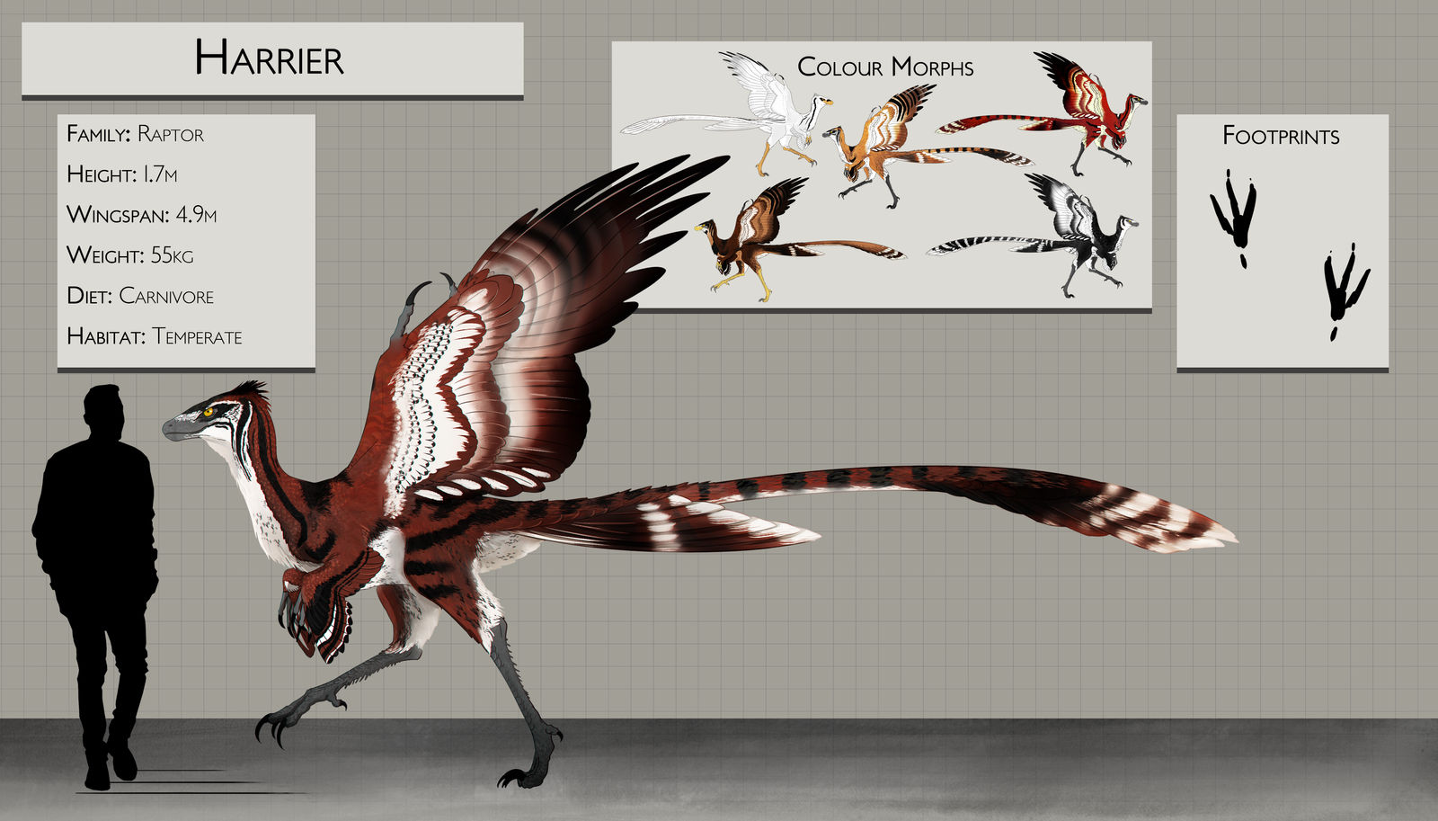 Stormbite Critters: Harrier Raptor by Blue-Hearts on DeviantArt