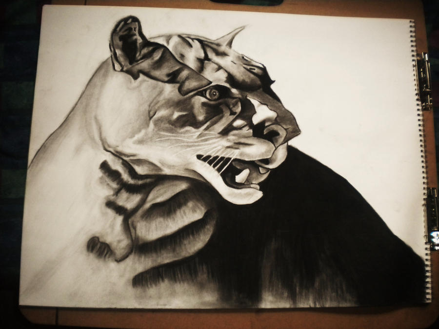 Attack Puma Sign Puma ATTACK by emollience on DeviantArt
