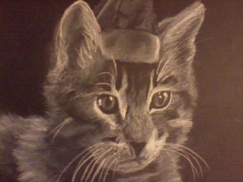 Charcoal Cat