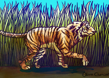 kp2089's Request: Tiger