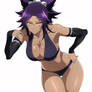 yoruichi shihouin