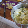 Elderflowers and lemons